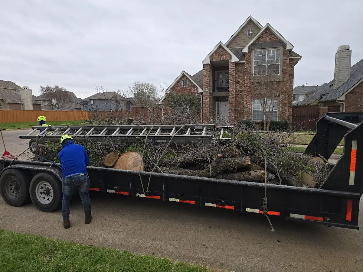 Expert Tree Removal with proper safety equipment in Burkettsville
